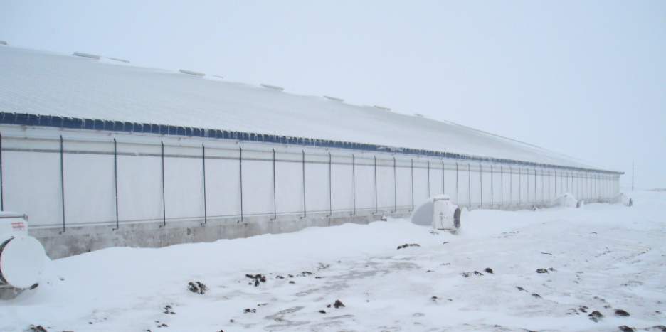 Winter Inspection Checklist for Swine Facilities